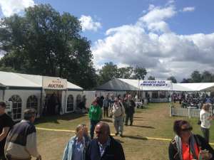 Birdfair WiFi